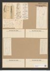 Dictyoneis marginata (Lewis) Cleve (de-Toni-Nr.: Genus 2, Species 839) Zeichnungen Sammlung Grunow Nr. 1664 (NHMW-BOT-W0368522)
